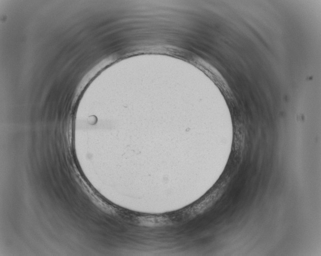 X0000082750804200702240037