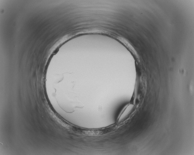 X0000082750805200702240037