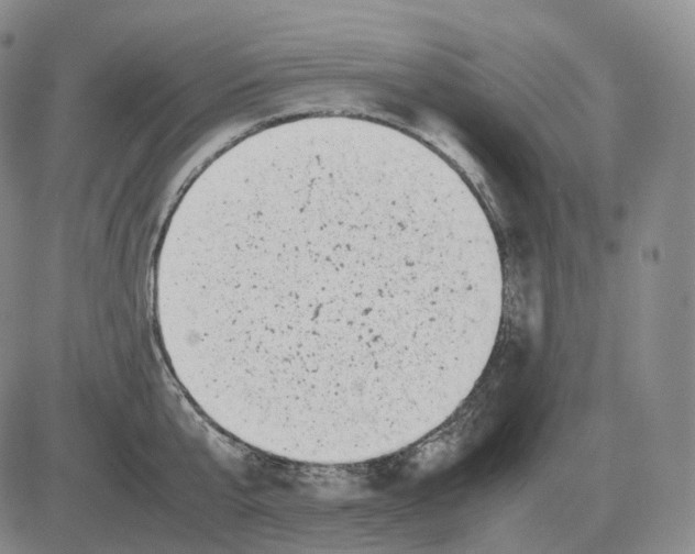 X0000082750807200702240037