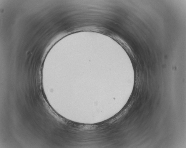 X0000082750808200702240037