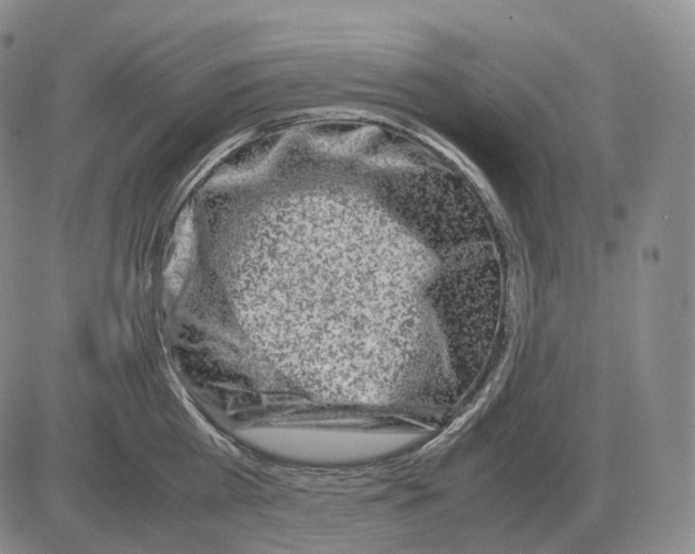 X0000082750809200702240037