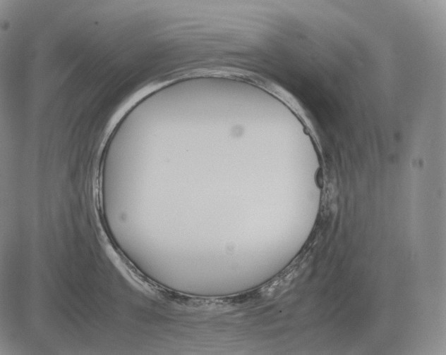 X0000082750811200702240037