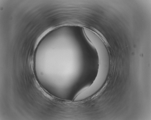 X0000082750812200702240037