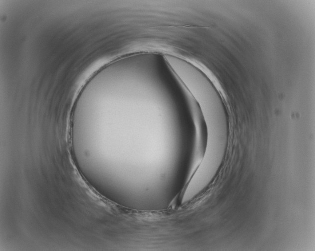 X0000082750815200702240037