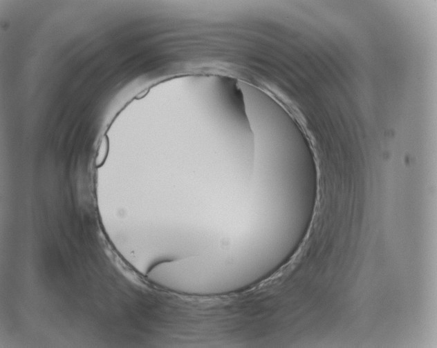 X0000082750816200702240037