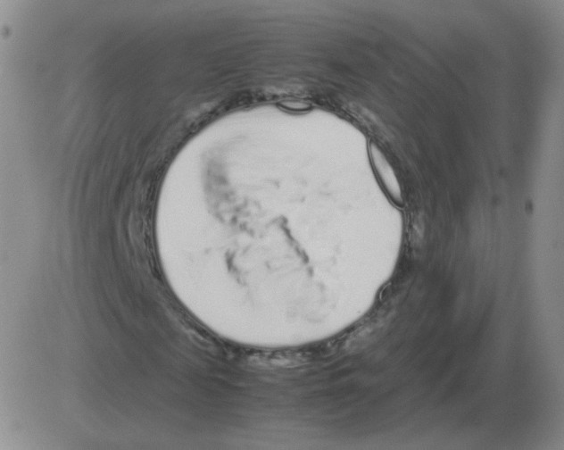 X0000082750817200702240036