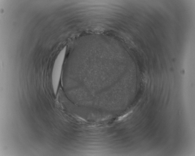 X0000082750818200702240036