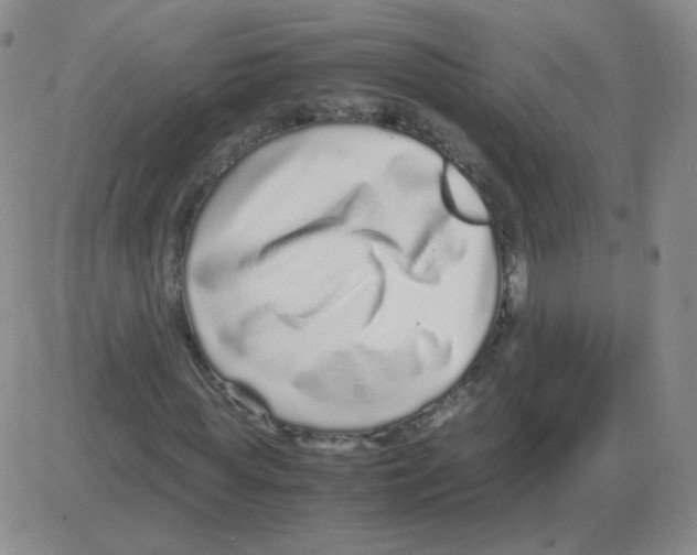 X0000082750819200702240036