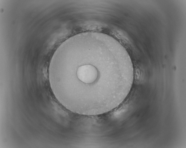 X0000082750820200702240036