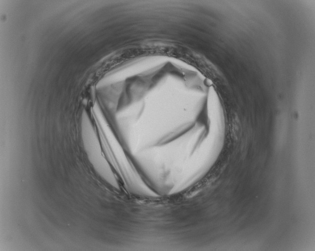 X0000082750821200702240036