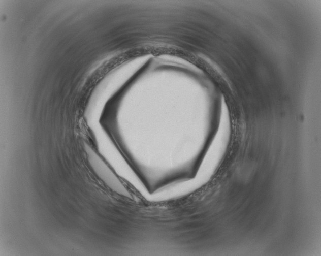 X0000082750823200702240036