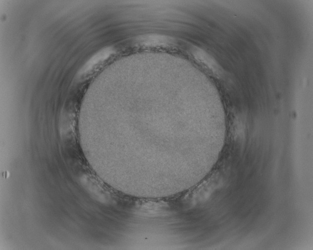 X0000082750824200702240036