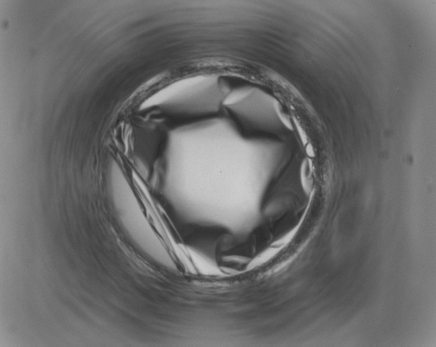 X0000082750825200702240036