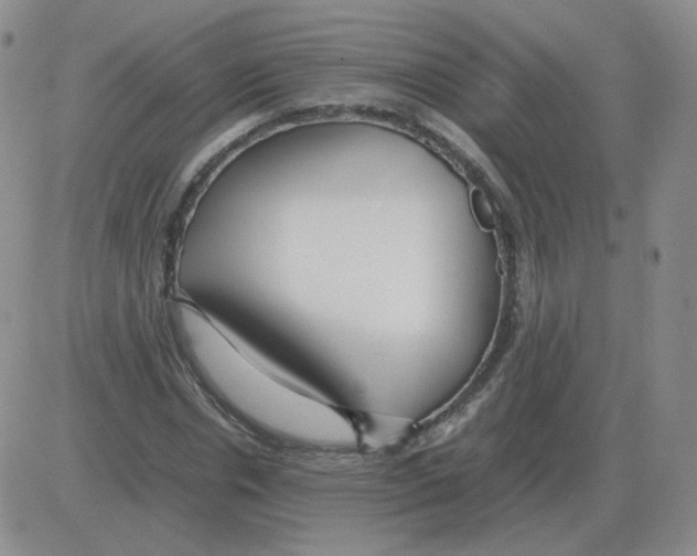 X0000082750826200702240036