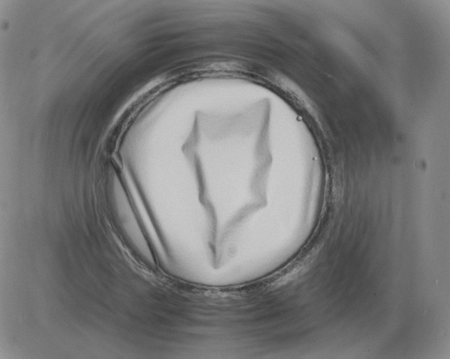 X0000082750827200702240036