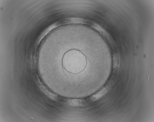 X0000082750828200702240036