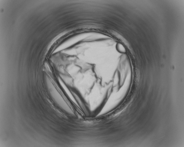 X0000082750829200702240036