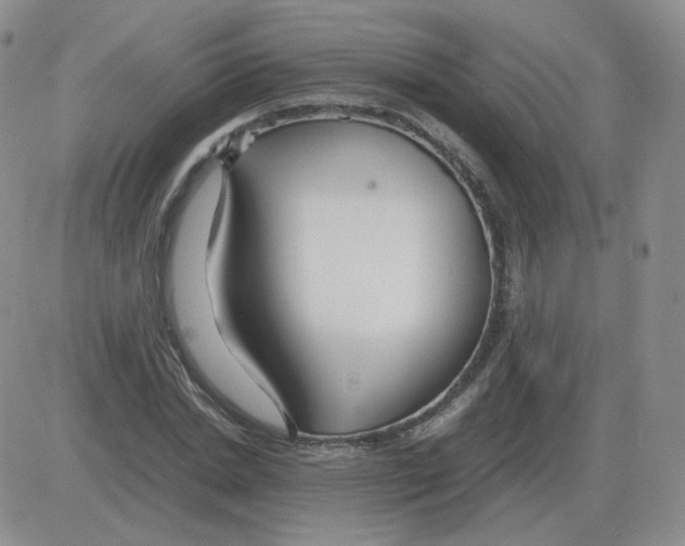 X0000082750830200702240036