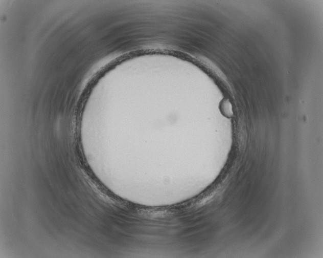 X0000082750831200702240036