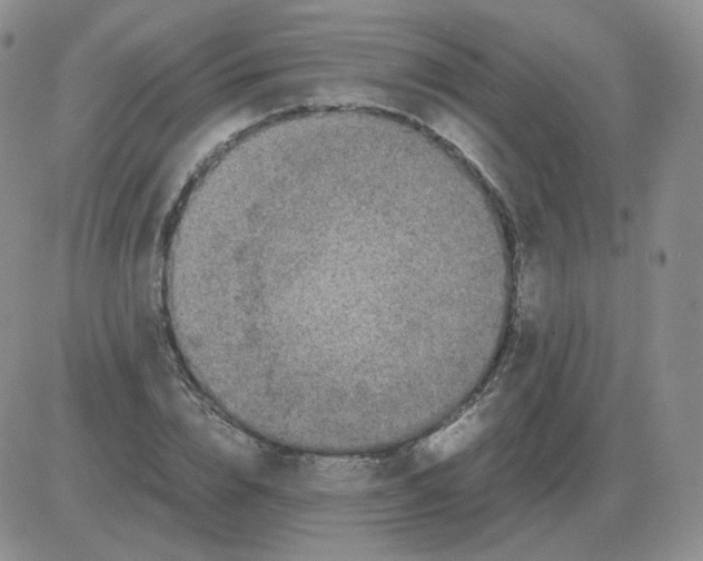 X0000082750832200702240036