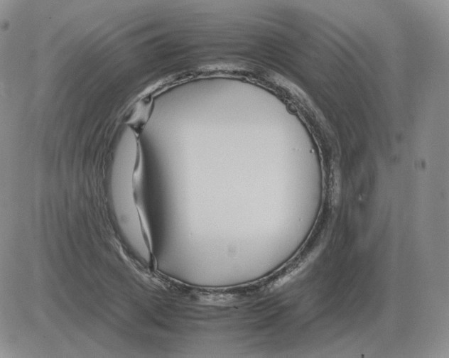 X0000082750833200702240036