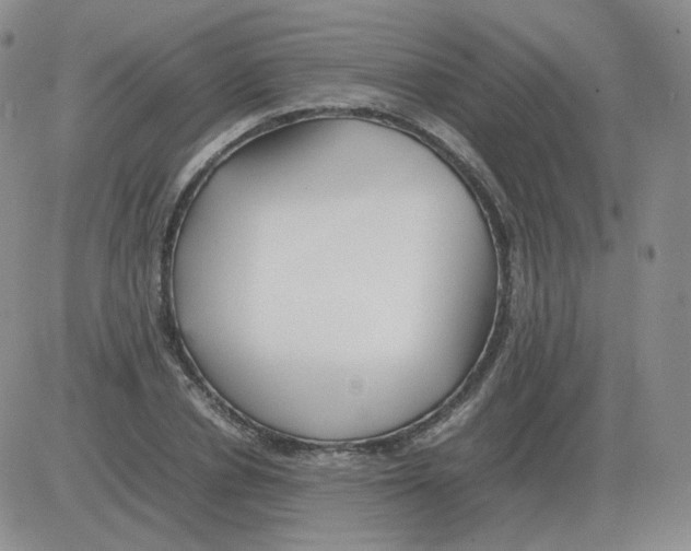 X0000082750834200702240036