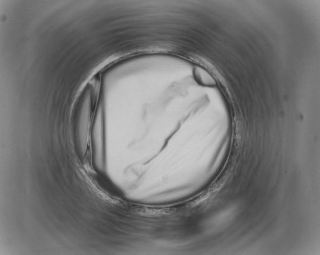 X0000082750835200702240036