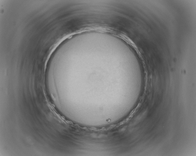 X0000082750836200702240036