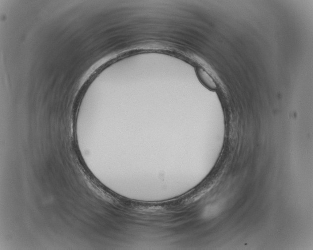 X0000082750837200702240036