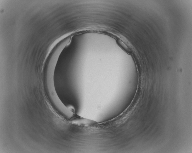 X0000082750838200702240036