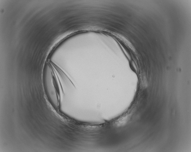 X0000082750839200702240036