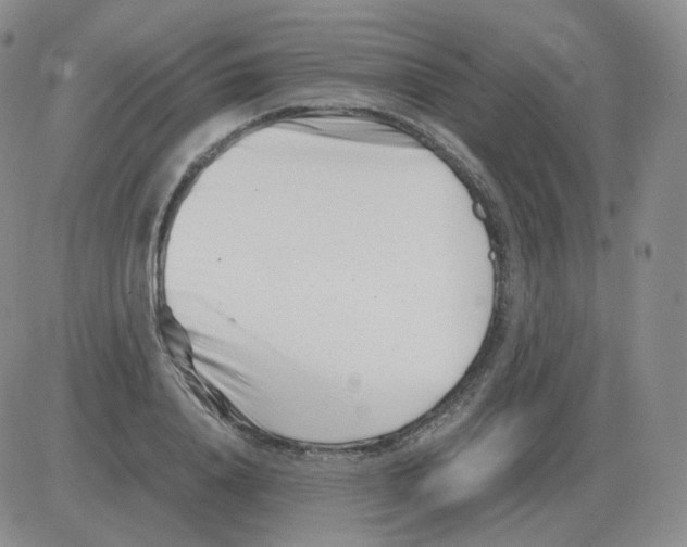 X0000082750840200702240036