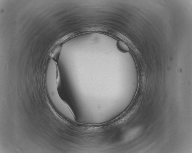 X0000082750841200702240036