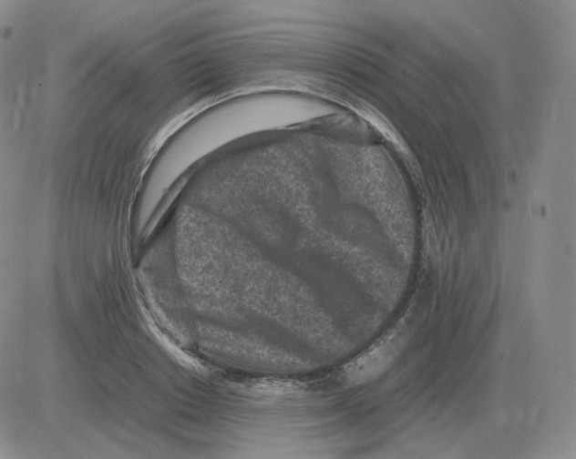 X0000082750842200702240036