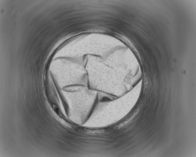 X0000082750843200702240036