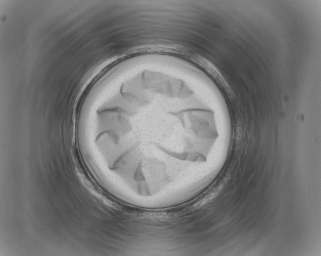 X0000082750844200702240036