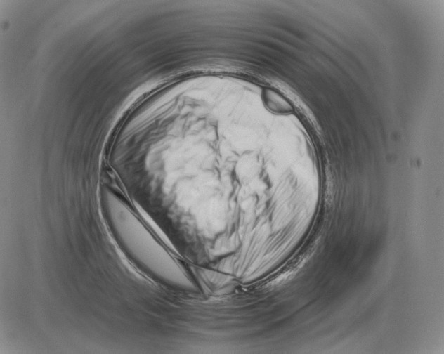 X0000082750845200702240036