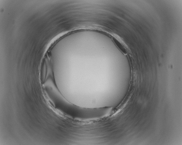 X0000082750846200702240036