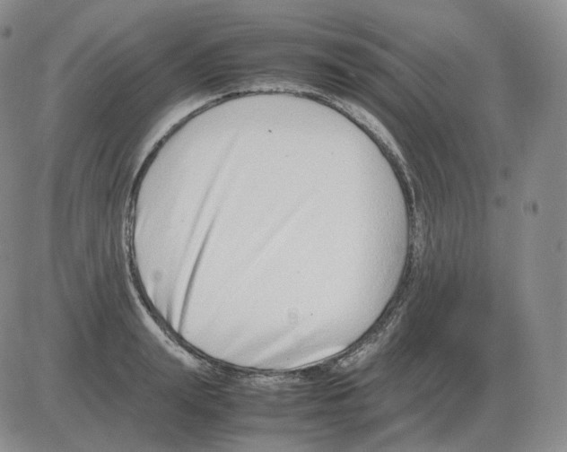 X0000082750847200702240036