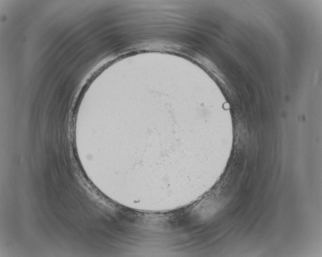 X0000082750848200702240036