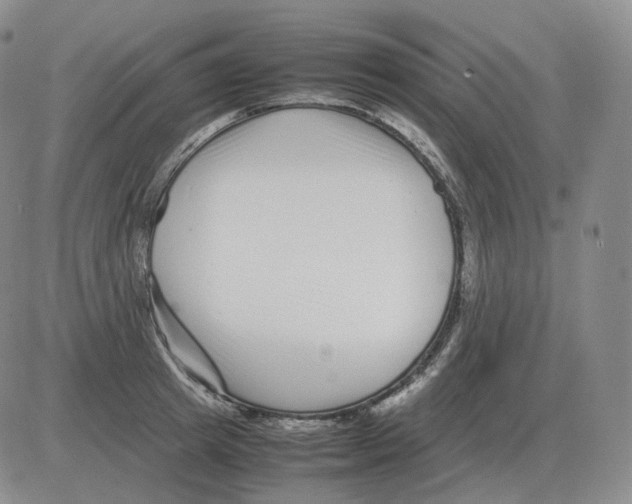 X0000082750849200702240036