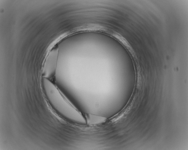 X0000082750850200702240037