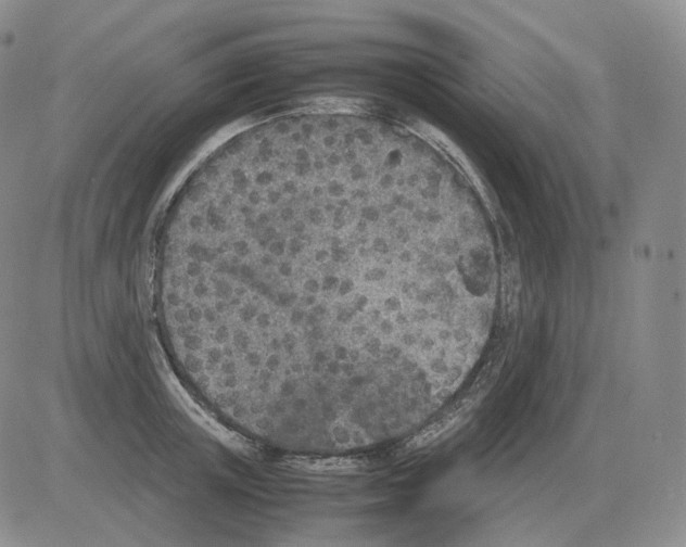 X0000082750851200702240037