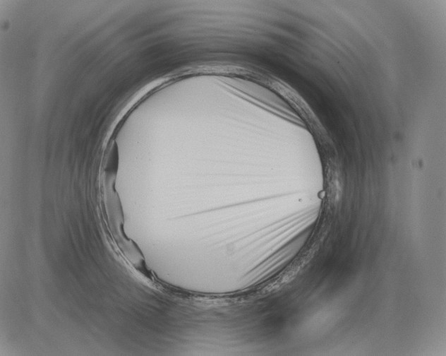 X0000082750852200702240037