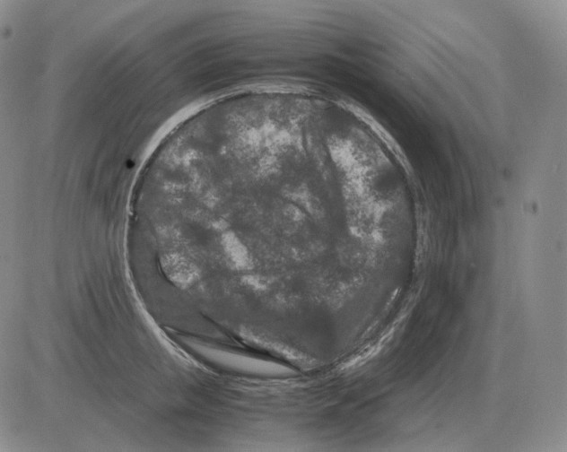 X0000082750853200702240037