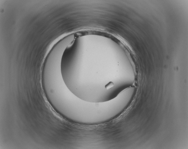 X0000082750854200702240037