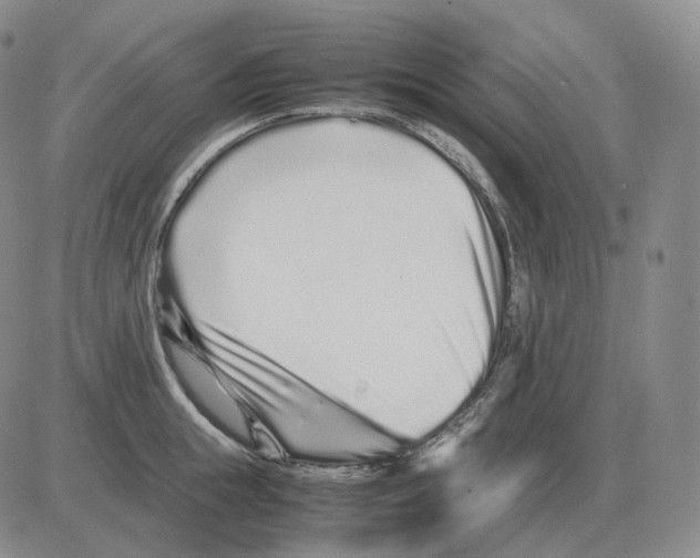 X0000082750855200702240037