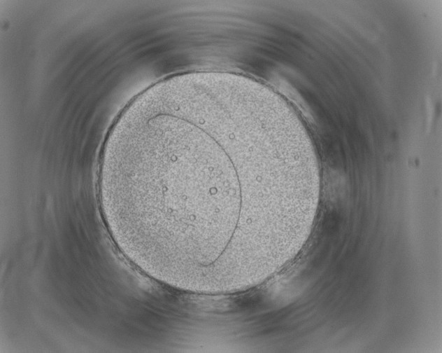 X0000082750856200702240037