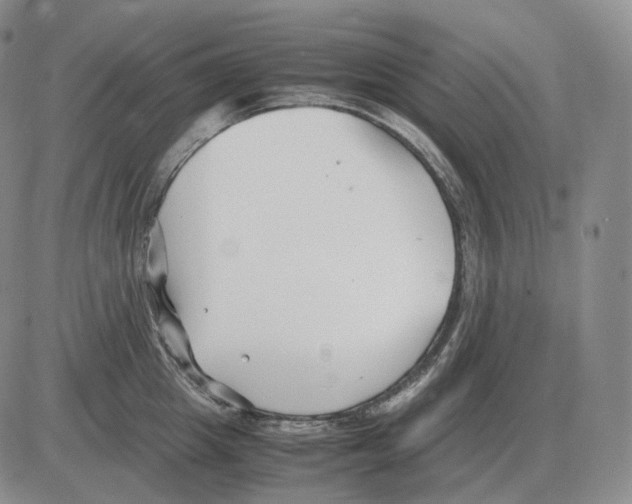 X0000082750857200702240037