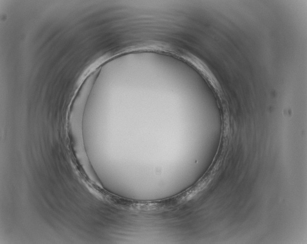 X0000082750858200702240037